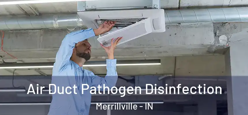  Air Duct Pathogen Disinfection Merrillville - IN