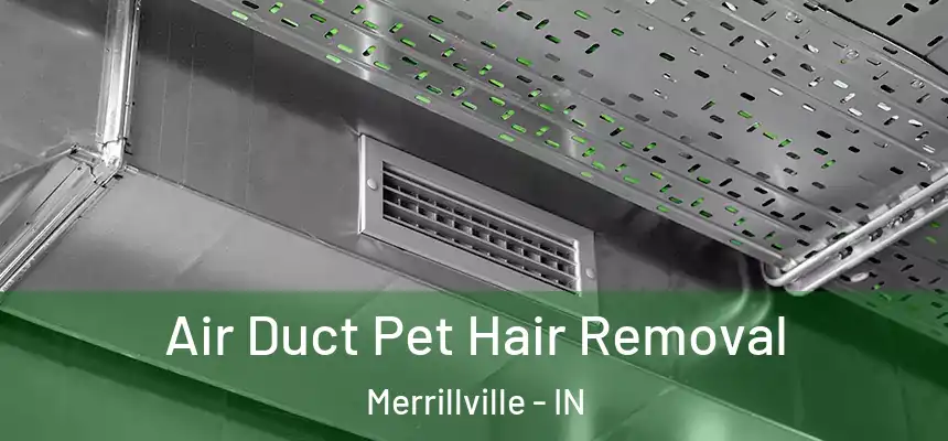 Air Duct Pet Hair Removal Merrillville - IN
