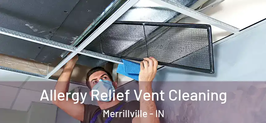 Allergy Relief Vent Cleaning Merrillville - IN