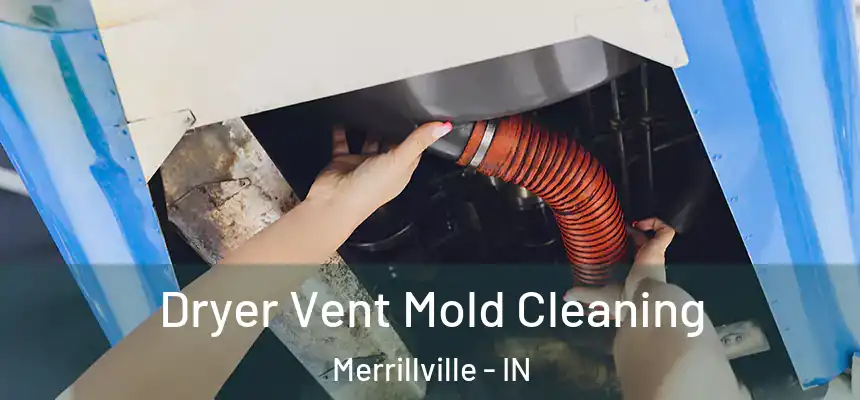 Dryer Vent Mold Cleaning Merrillville - IN