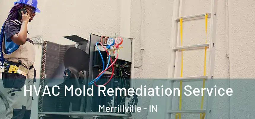 HVAC Mold Remediation Service Merrillville - IN