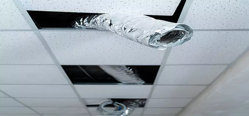 Our Air Duct Pet Hair Removal Services in Merrillville, IN