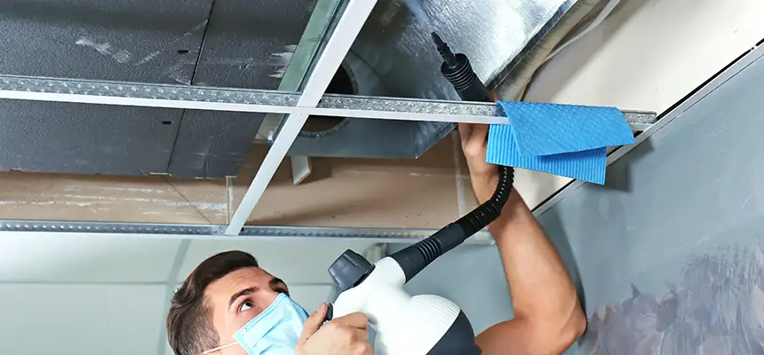 Our Air Duct Rodent Removal Services in Merrillville, IN