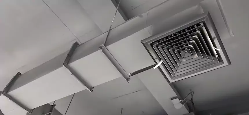 Our Pest Removal From Ducts Services in Merrillville, IN