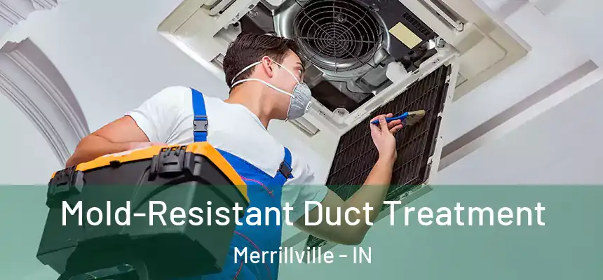  Mold-Resistant Duct Treatment Merrillville - IN