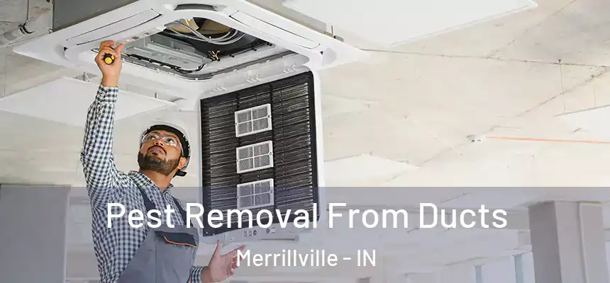 Pest Removal From Ducts Merrillville - IN