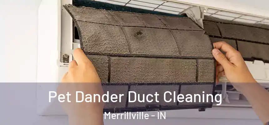  Pet Dander Duct Cleaning Merrillville - IN