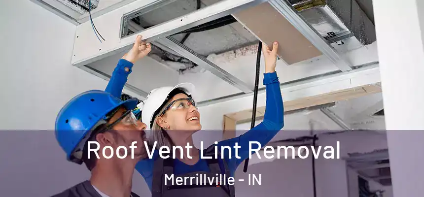 Roof Vent Lint Removal Merrillville - IN