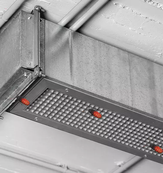 Affordable Insect Removal from Air Ducts in Merrillville, IN
