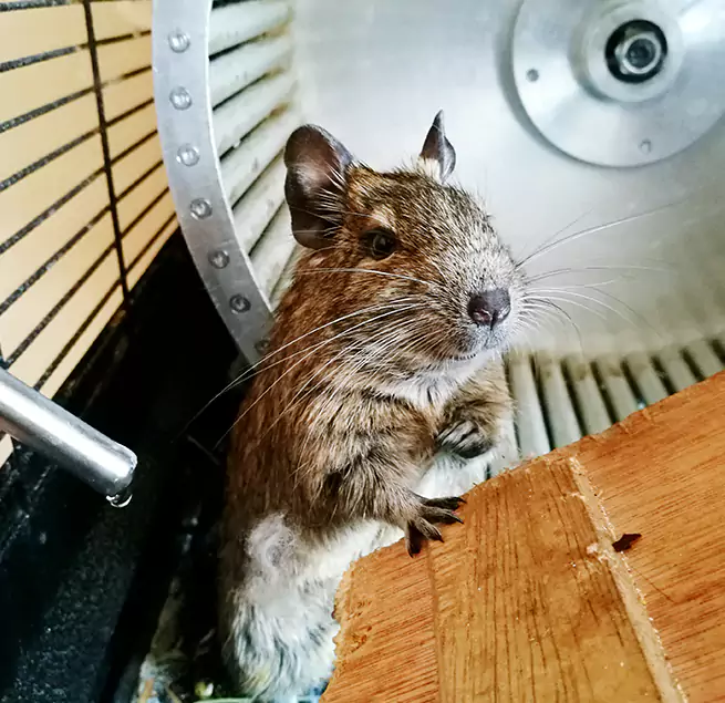 Why Homeowners & Businesses Trust Us Merrillville, IN